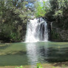 Selva del Lamone a Farnese