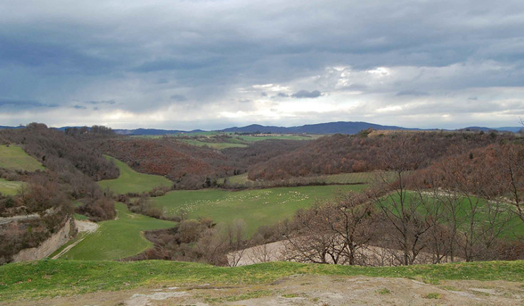 DSC_0019-SITO_01_11