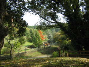 Monte-Rufeno-5