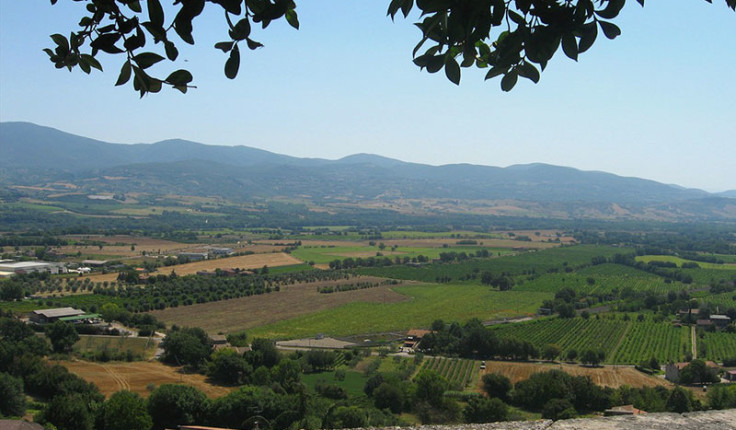 cover_castiglioneteverina