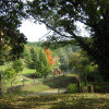 Riserva Naturale di Monte Rufeno