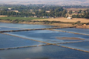 saline-tarquinia