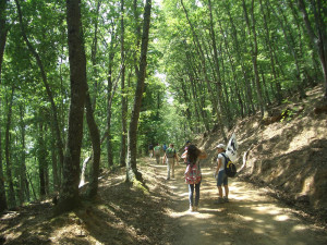 sentieri_riserva_turismo_ape_regina-1